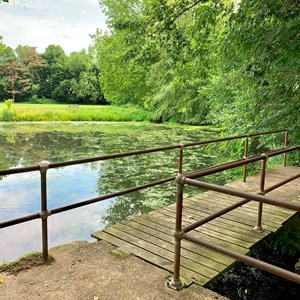 15810047037303932944