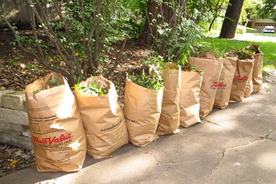 Curbside Leaf Waste Collection Guidelines