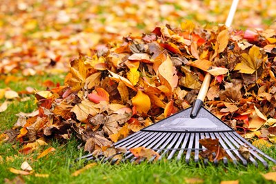 Curbside Leaf Collection Ends Dec 16th