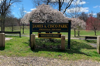 Springfield Township Awarded DCNR Grant for Cisco Park