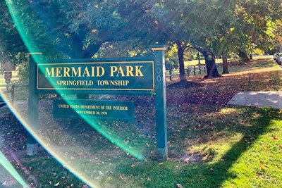 Mermaid Park Native Planting - Call for Volunteers