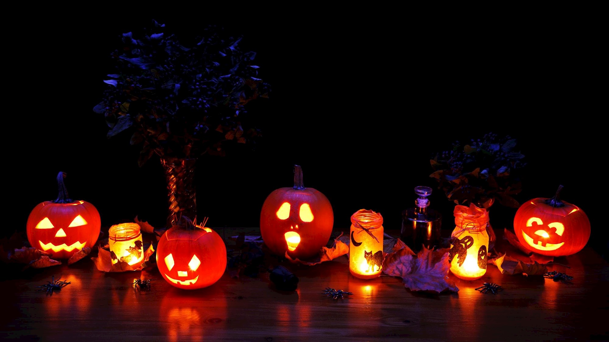 Happy Halloween