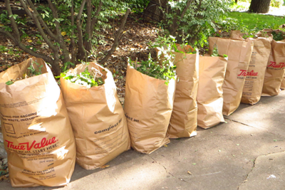 Leaf Waste Collection Resumes - Feb 12