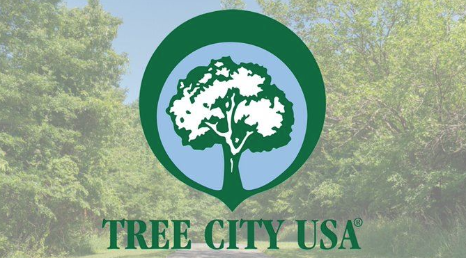 Springfield Township Earns 2025 Tree City USA Recognition